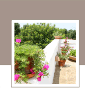Puglia Fasano