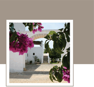 Bed & Breakfast Puglia